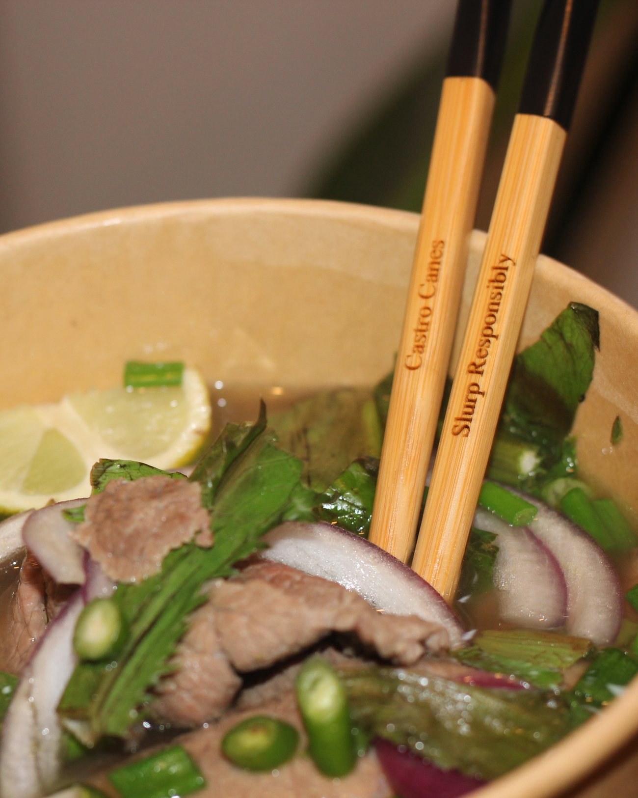 Castro Canes bamboo chopsticks resting in a bowl of pho, the engraving reading Slurp Responsibly