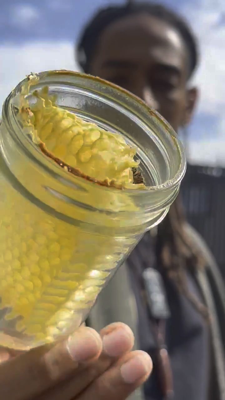 A jar packed with raw honeycomb held up against the sky