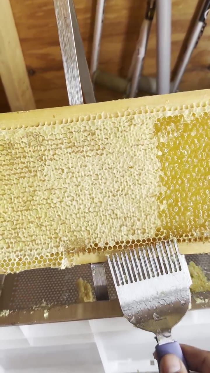 A honeycomb frame being uncapped by hand during the harvest