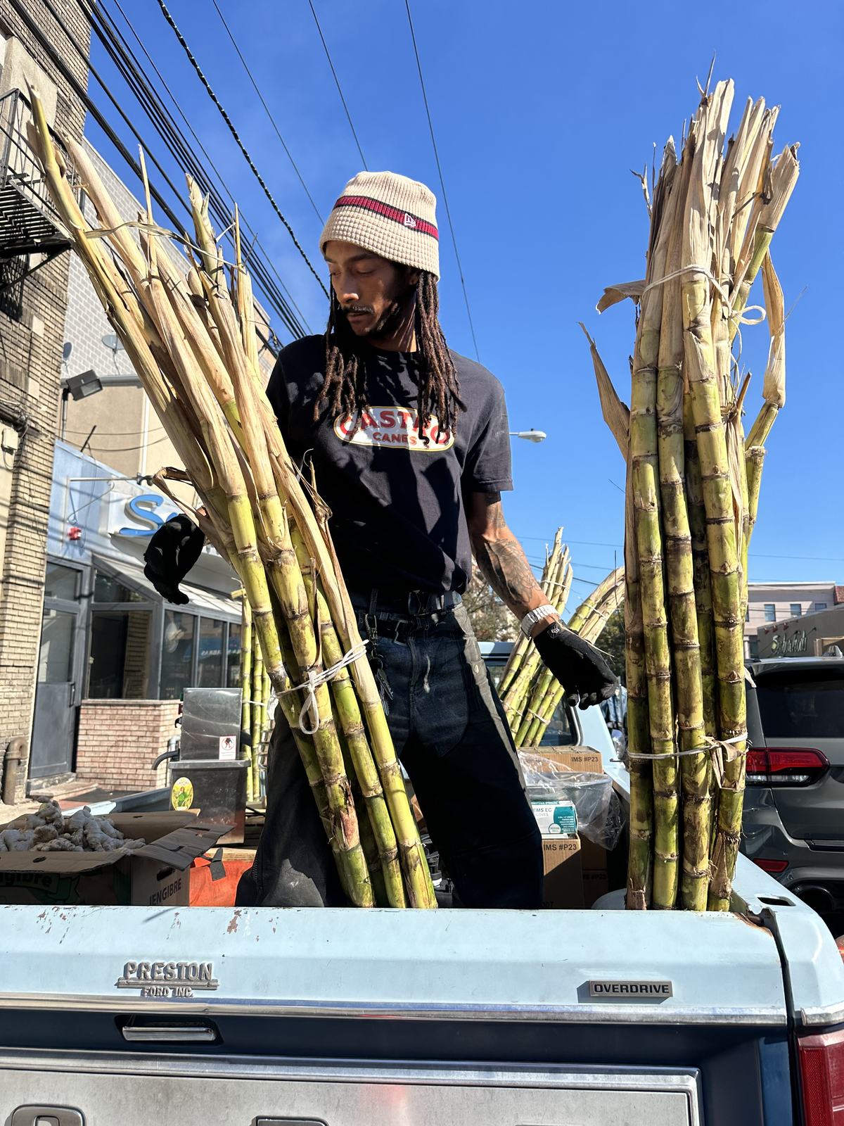 Lifting a bundle of cut sugarcane beside the vintage pickup at ODR Studio