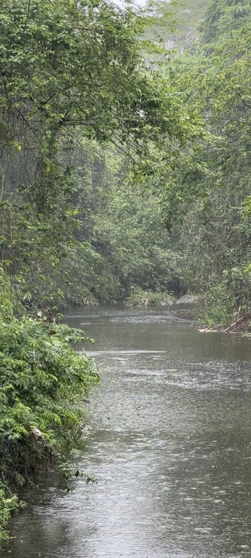 The river running quietly through the land