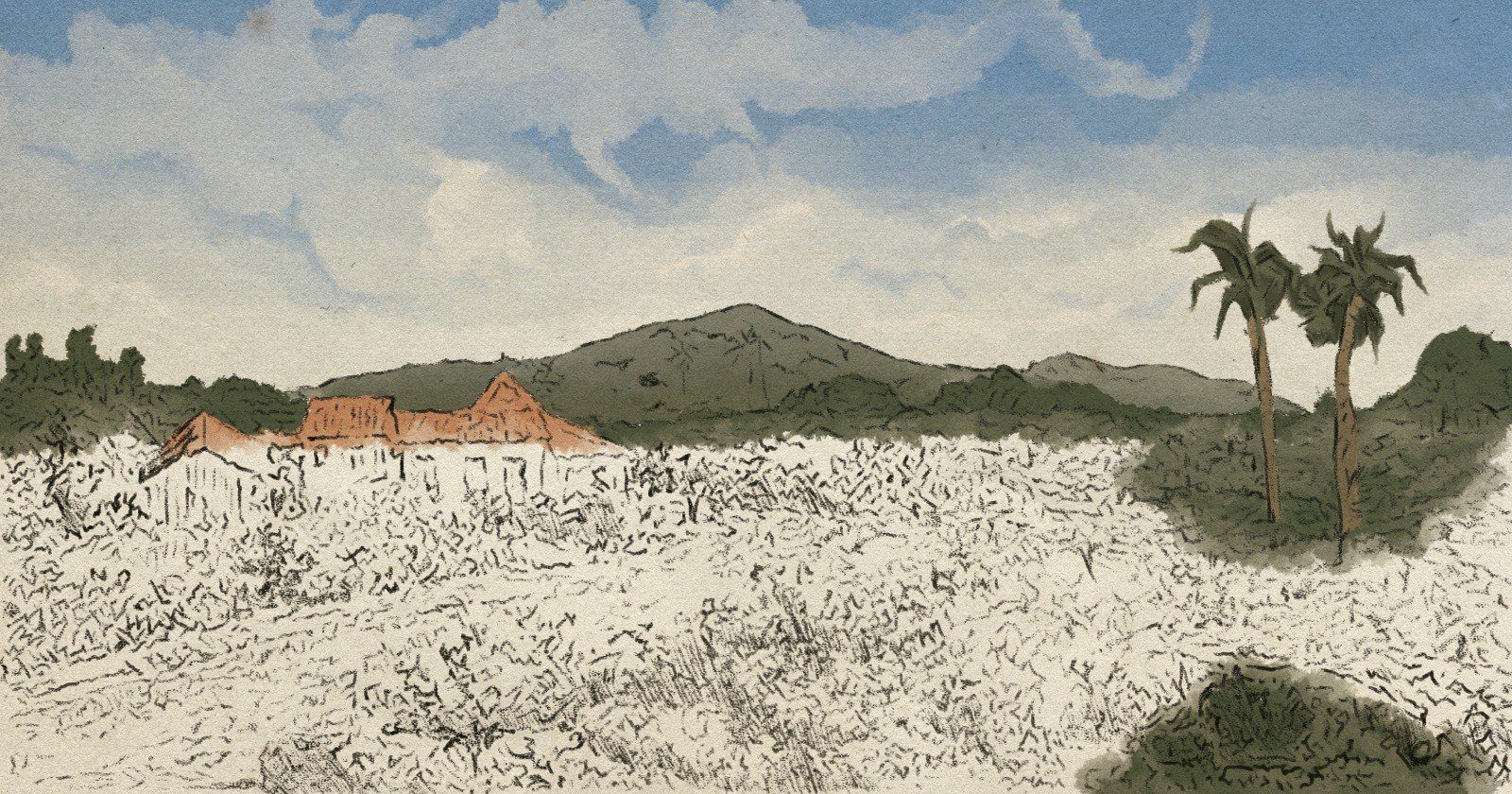 An illustration of the Castro Canes land in the Dominican Republic — cane fields, hills, and palms