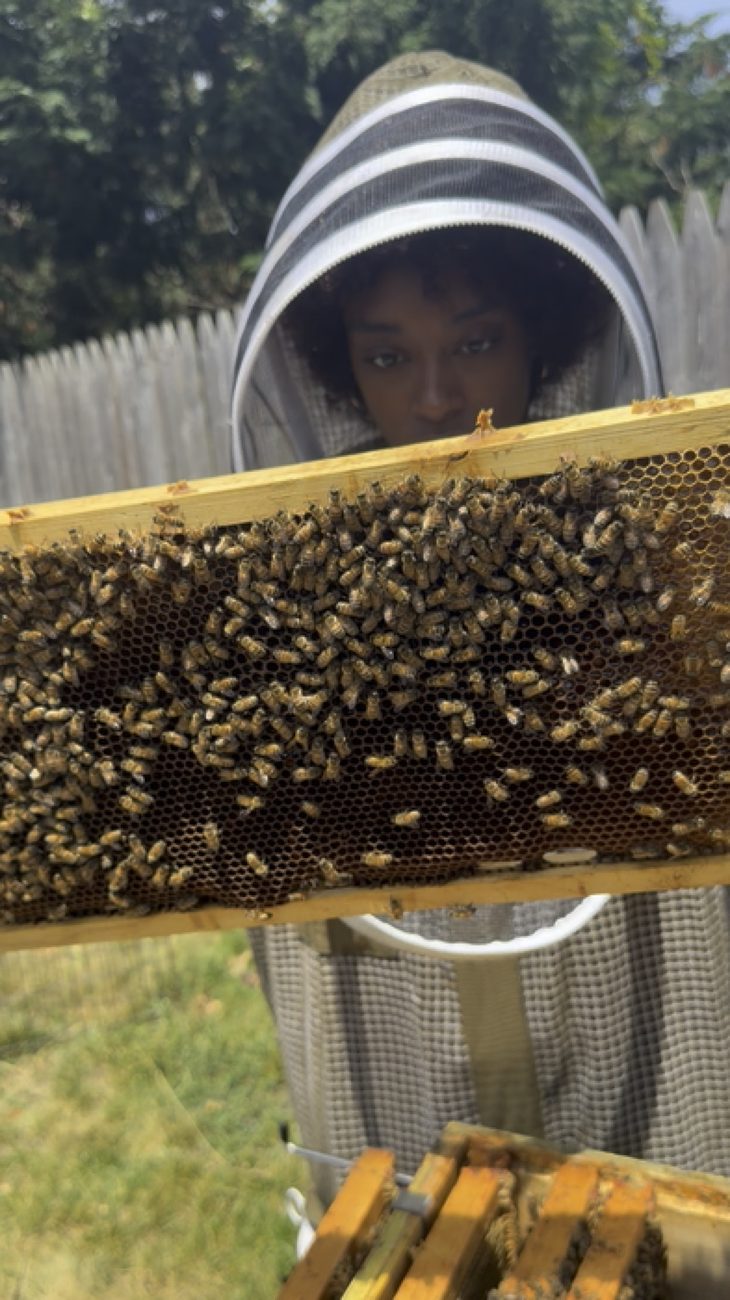 A beekeeper holding up a honeycomb frame covered in bees